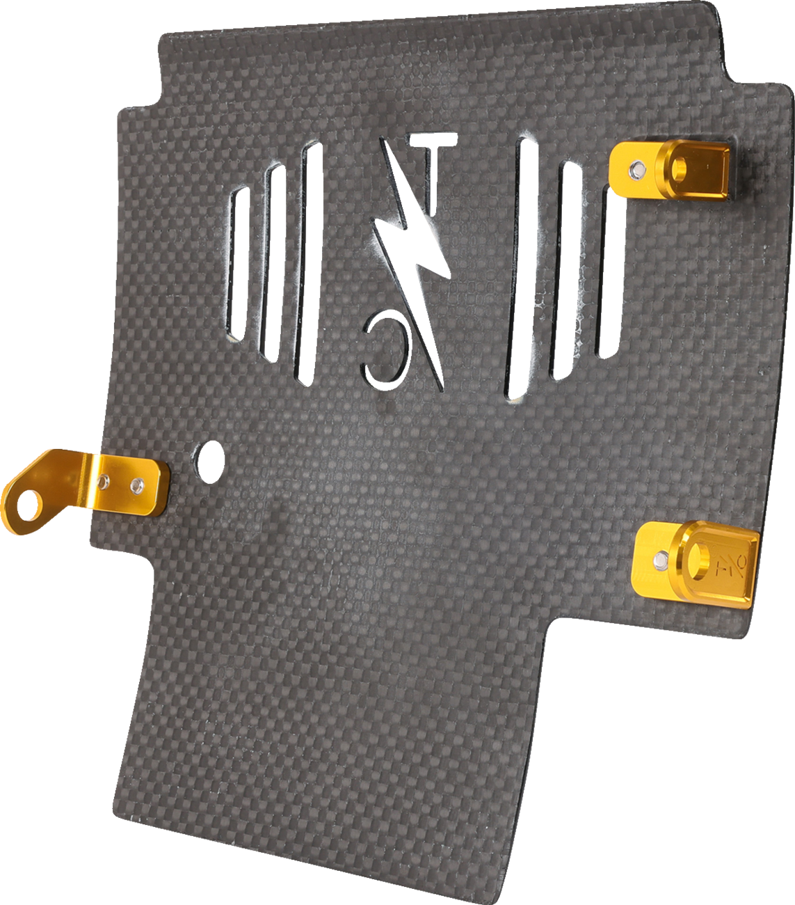 Skid Plate - Carbon Fiber/Gloss - With Gold Brackets - FLHX/FLTRX