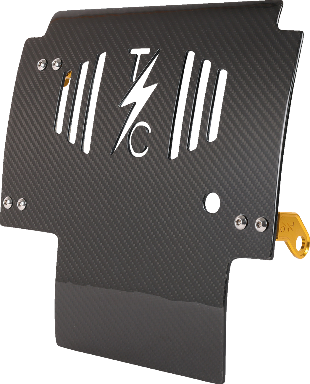 Skid Plate - Carbon Fiber/Gloss - With Gold Brackets - FLHX/FLTRX