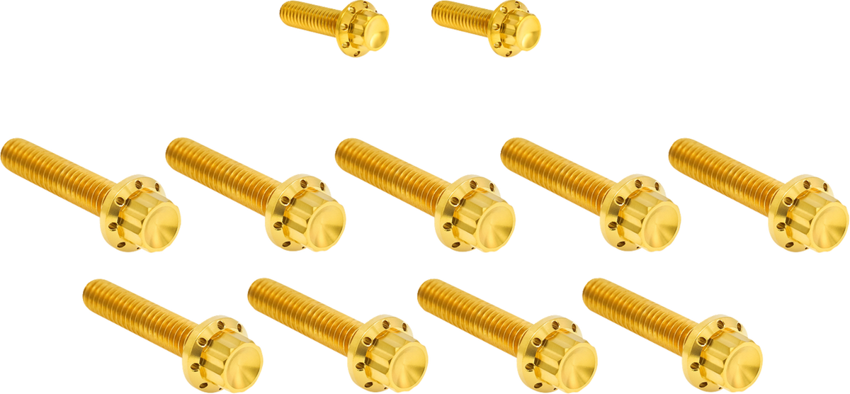 Bolt Kit - Cam Cover/Point Cover - Titanium - 12-Point - Gold