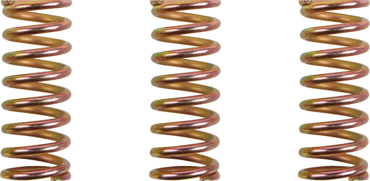 Clutch Spring Kit