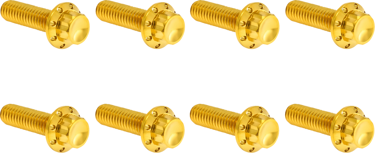 Transmission Trap Door Titanium 12-Point Bolt Kit — For M8 Models