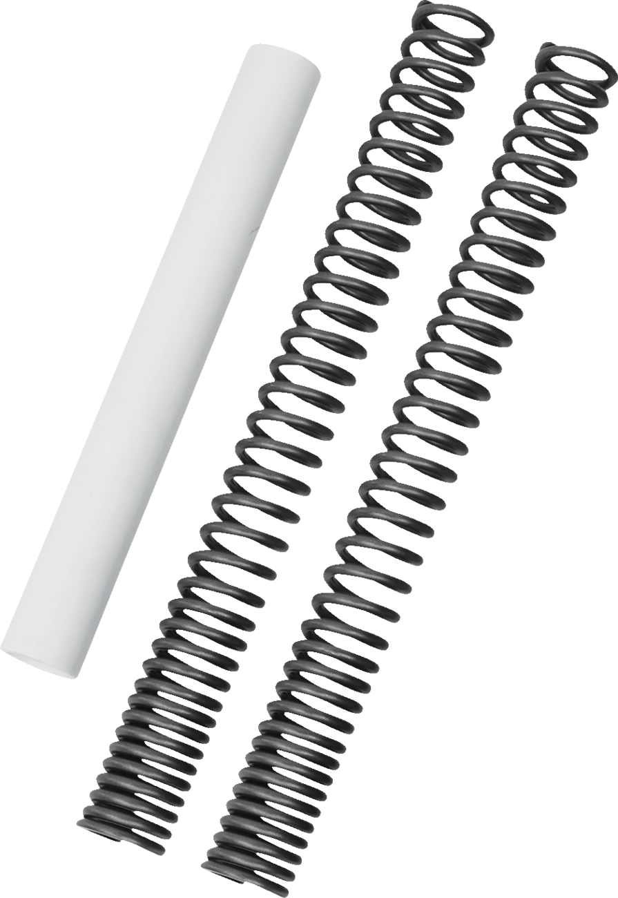 Fork Spring Kit
