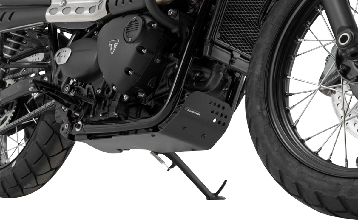 Engine Guard - Black - Triumph