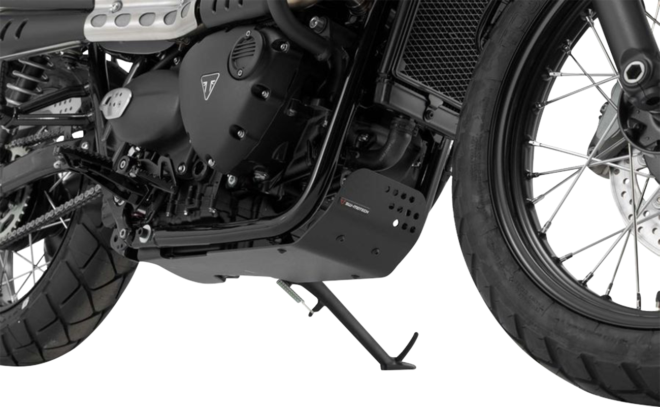 Engine Guard - Black - Triumph