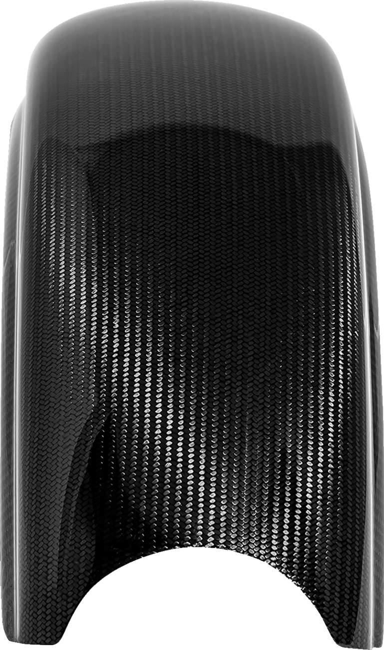 Rear Fender - Carbon Fiber/Gloss - FXBB/FXST/FLSL