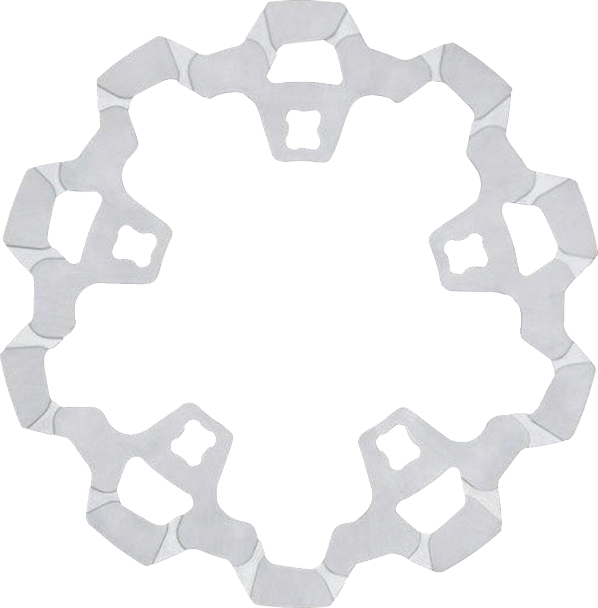 Front Brake Rotor