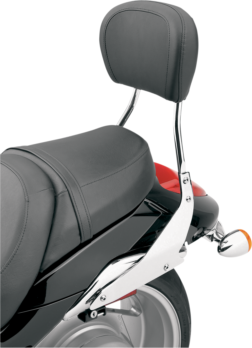 Sissy Bar - Short - Chrome - Raider