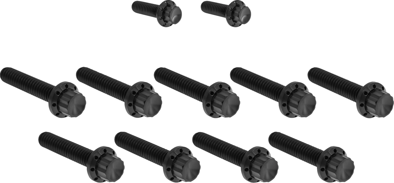 Bolt Kit - Cam Cover/Point Cover - Titanium - 12-Point - Black