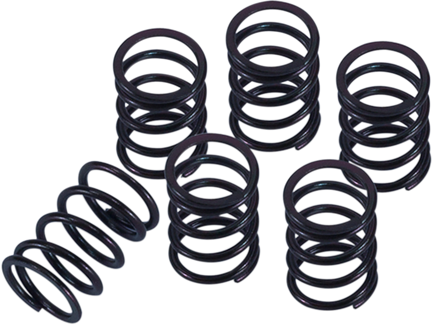 Clutch Spring Kit - Honda