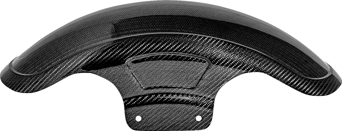 Carbon Fiber Front Fender - Gloss - Touring '23-'25