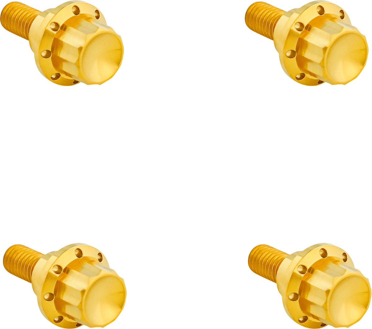 Windshield Titanium 12-Point Bolt Kit