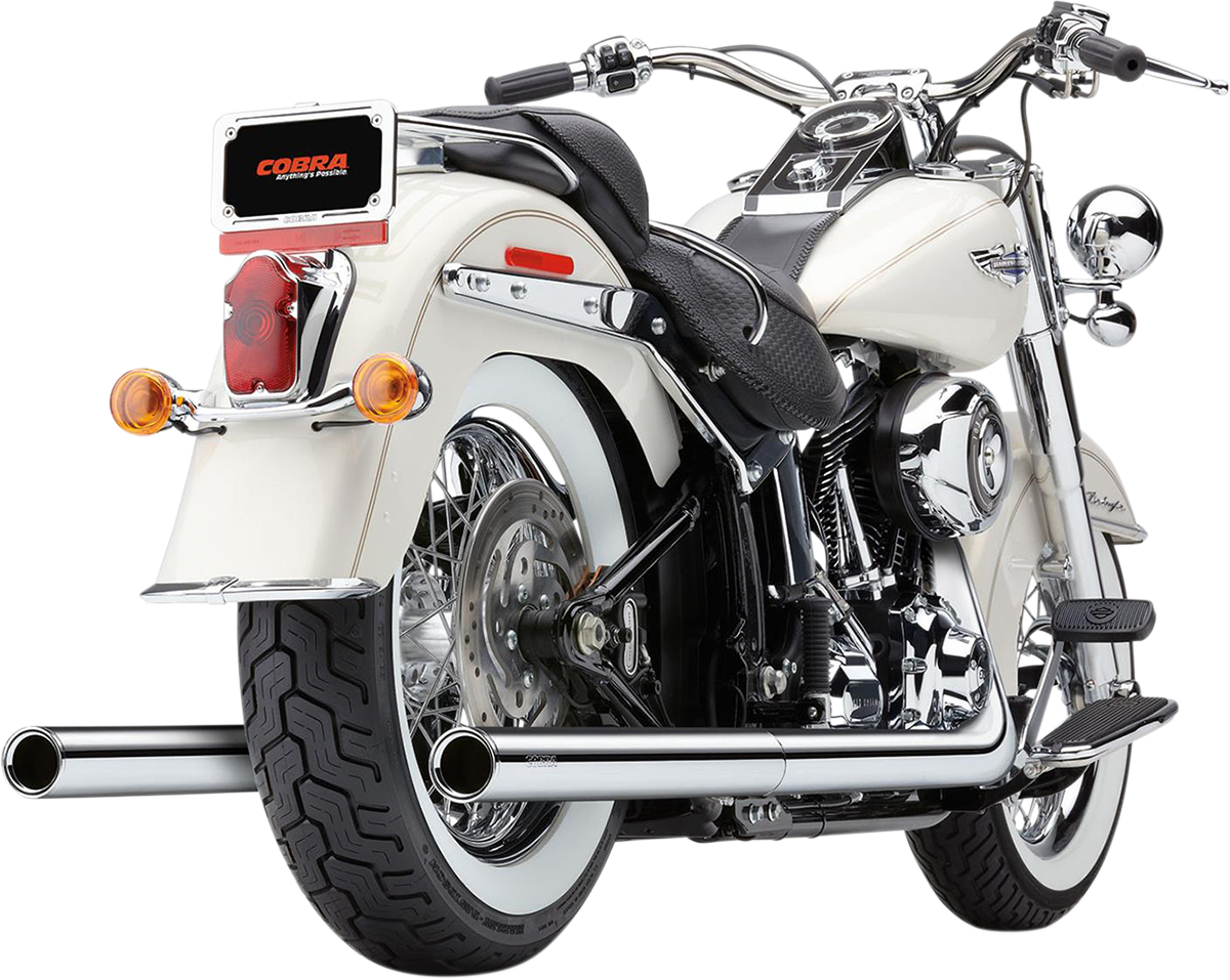 Bad Hombre Dual Exhaust System