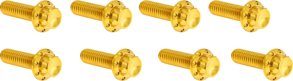 Lifter Block Titanium 12-Point Bolt Kit