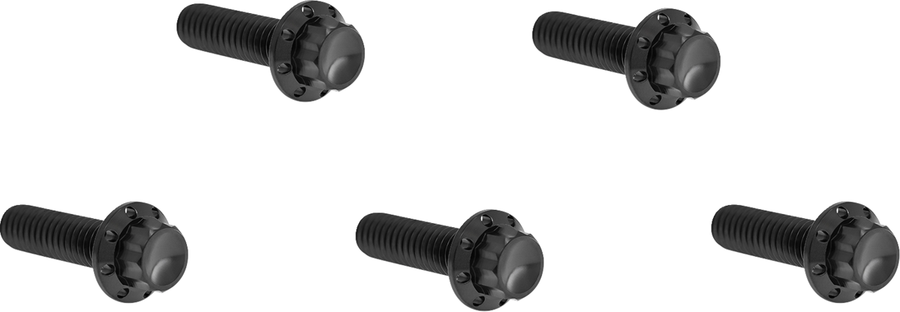 Derby Cover 12-Point Titanium Bolt Kit