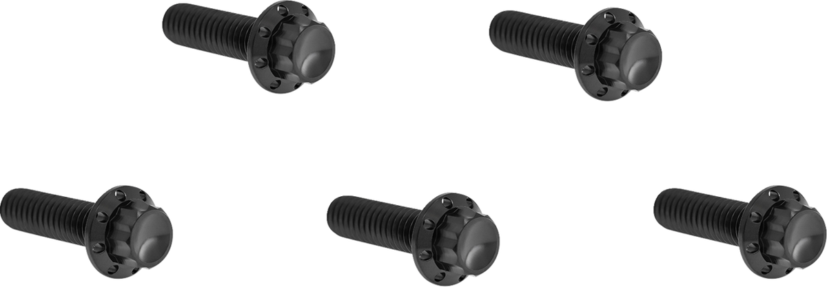 Derby Cover Titanium 12-Point Bolt Kit