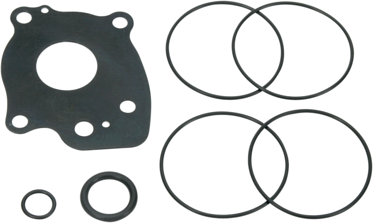 Oil Pump Rebuild Kit - Twin Cam