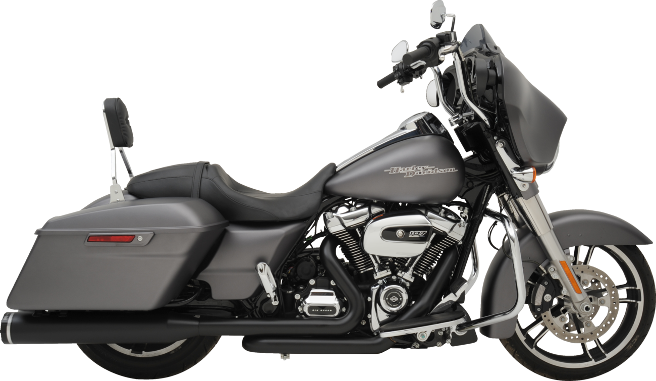 2-Into-1-Into-2 Dominator-Sr Exhaust System