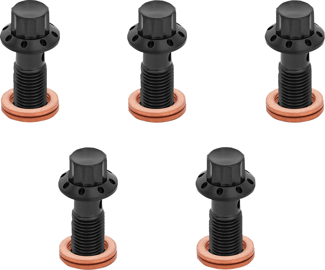 Banjo Bolt 5-Pack - M10x1.0 - Black