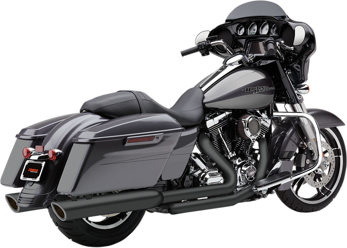 909 Twin Slip-On Mufflers