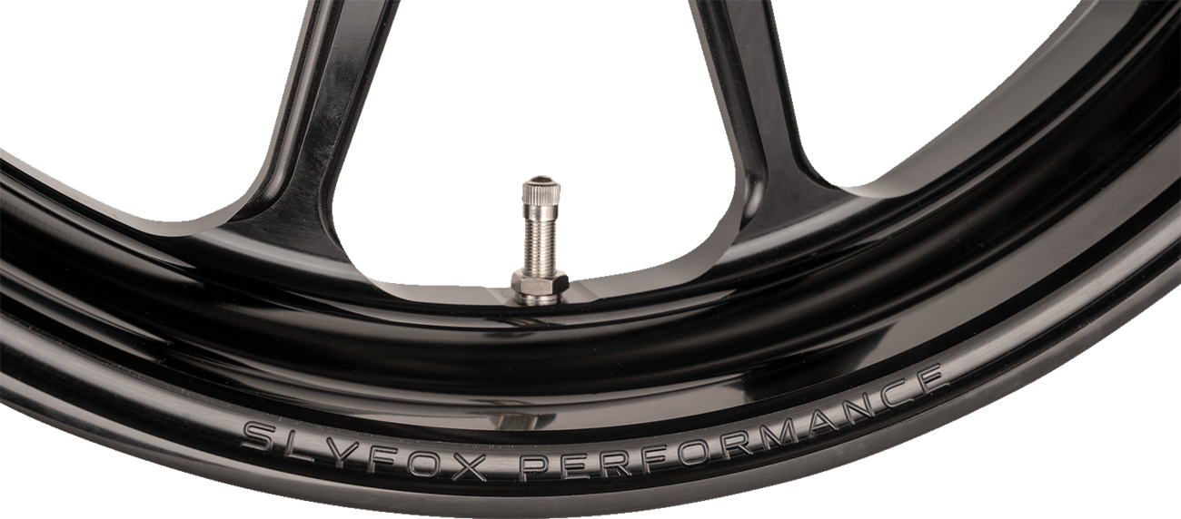 Wheel - Track Pro - Front - Dual Disc /Without ABS - Black - 17x3.5