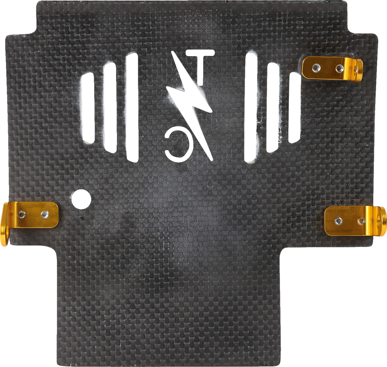 Skid Plate - Carbon Fiber/Gloss - With Gold Brackets - FLHX/FLTRX