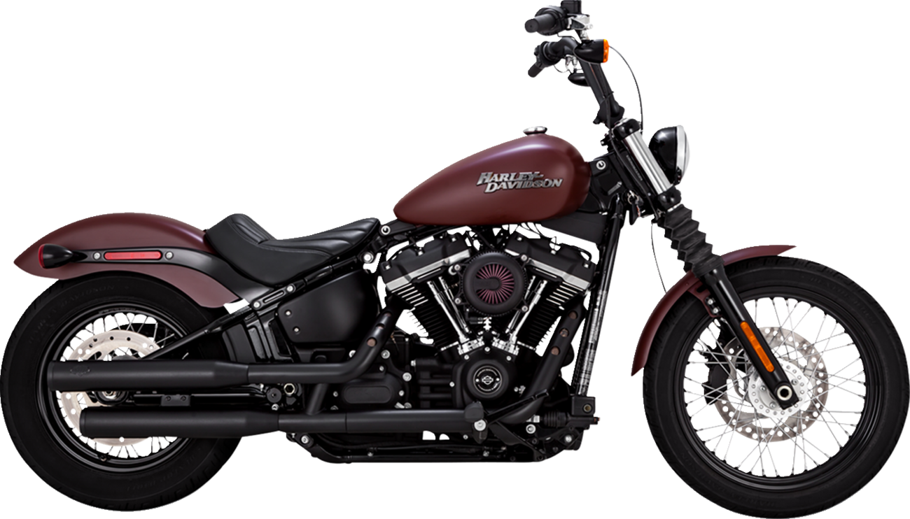 Eliminator 300 Slip-On Mufflers - Black