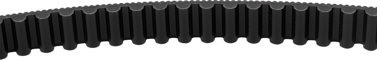 Drive Belt - 134 Tooth - 24 MM - M8 Softail
