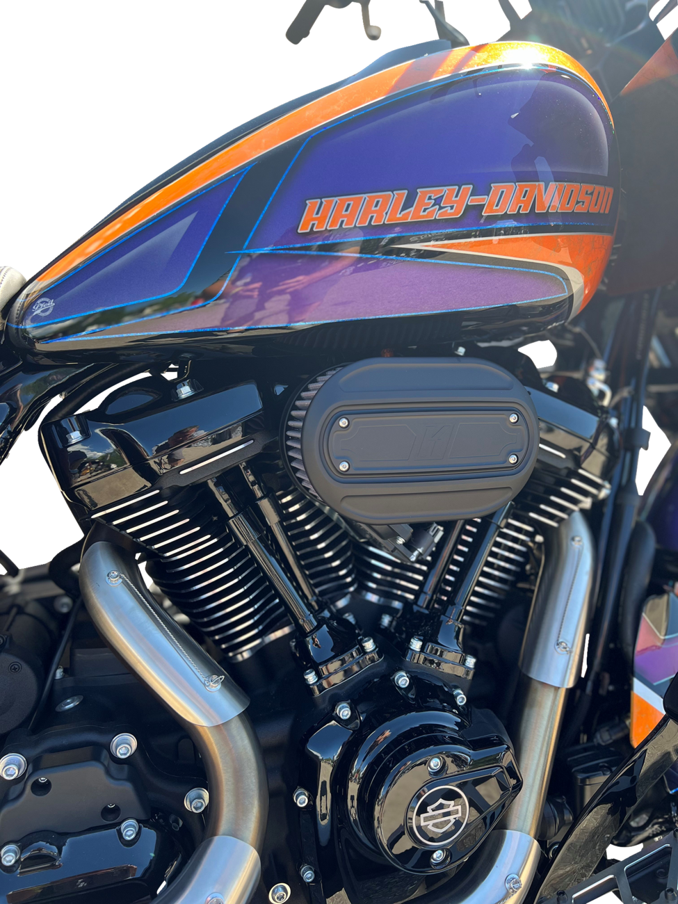 Oval Air Cleaner Kit - Black - Touring/Softail
