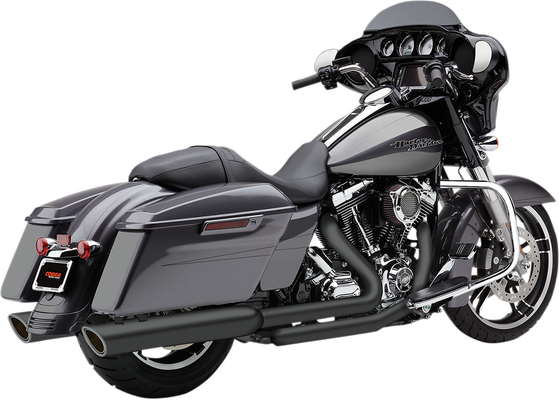 909 Twin Slip-On Mufflers