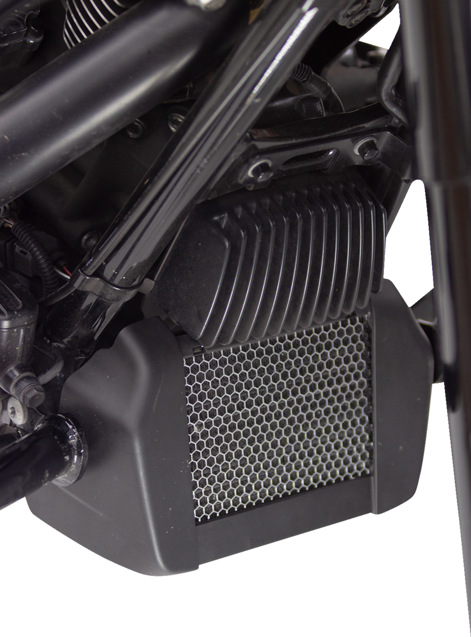Oil Cooler Guard - Chrome - M8 Touring/Trike