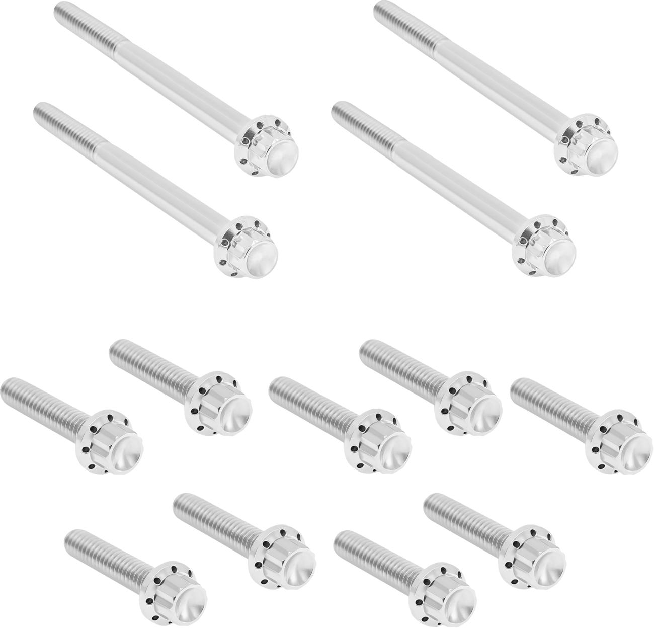 Bolt Kit - Primary Cover - Titanium - 12-Point - FLT - Polished