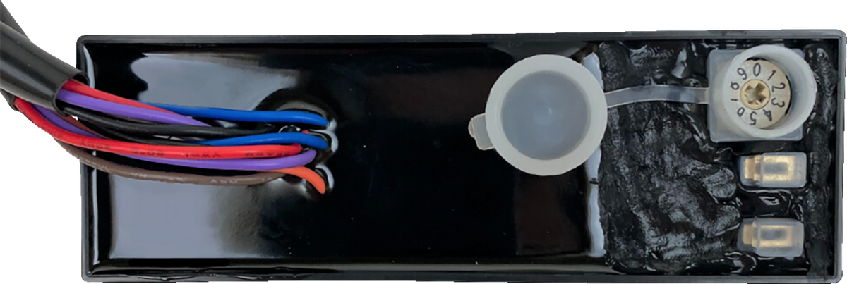 Strobe Module - Harley-Davidson®