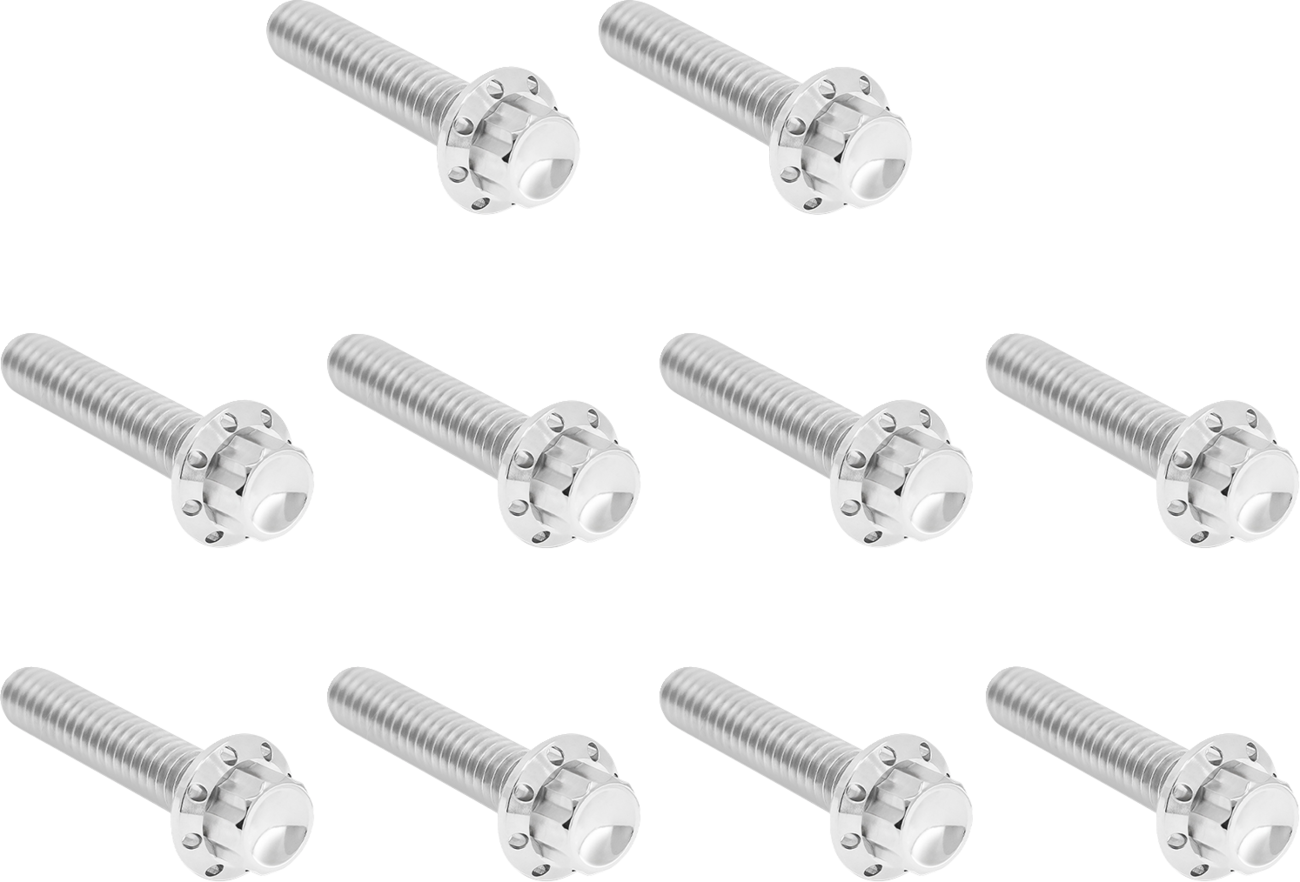 Cam Cover/Point Cover Titanium 12-Point Bolt Kit