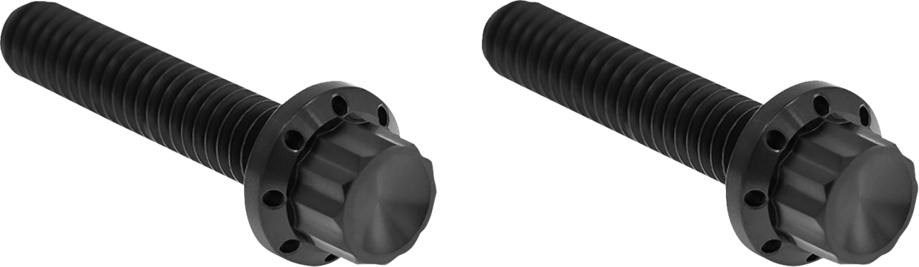 Transmission Side Cover Titanium 12-Point Bolt Cover