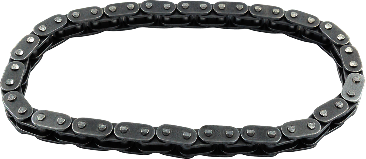 Cam Chain - Primary - Big Twin - '07-'25