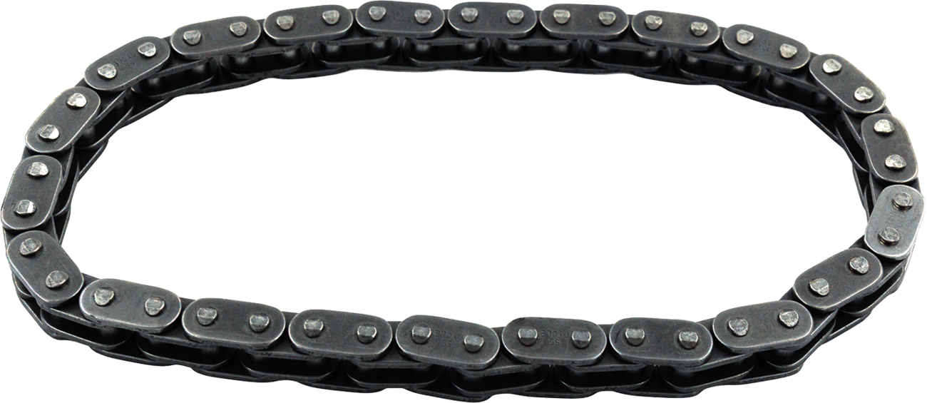 Cam Chain - Primary - Big Twin - '07-'25