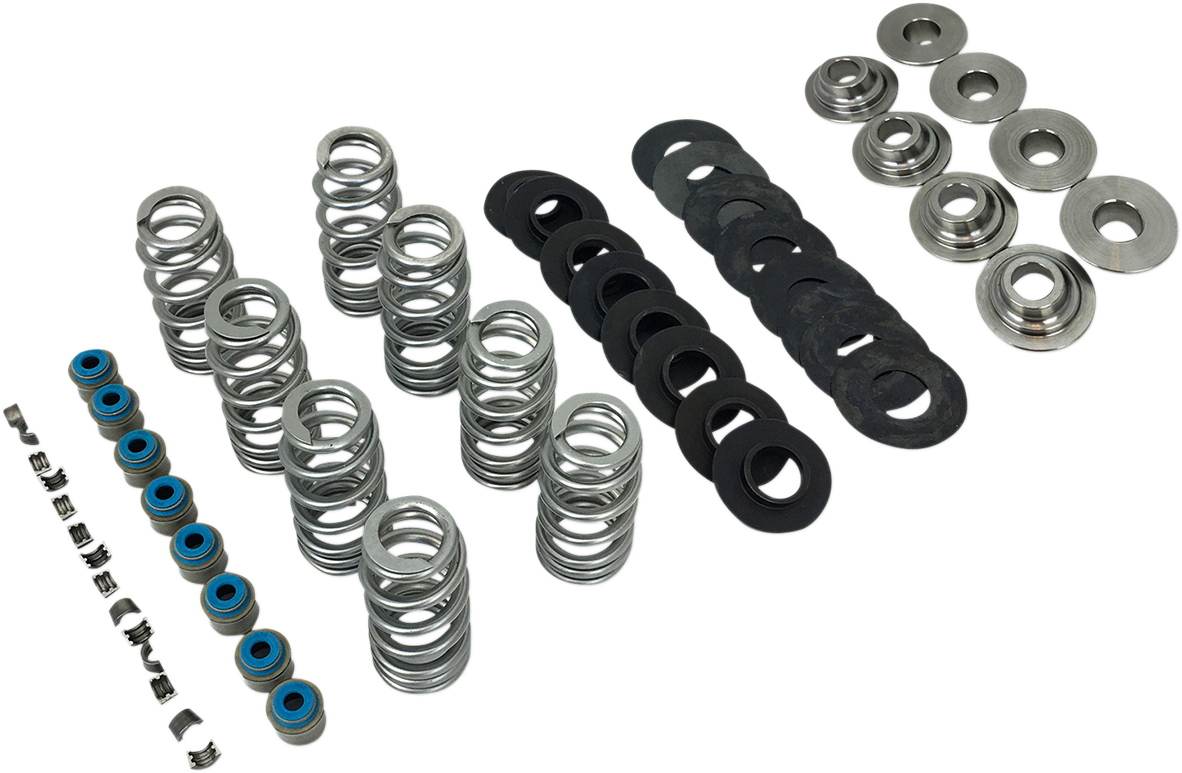 Valve Spring Kit - With TI Retainers - M8