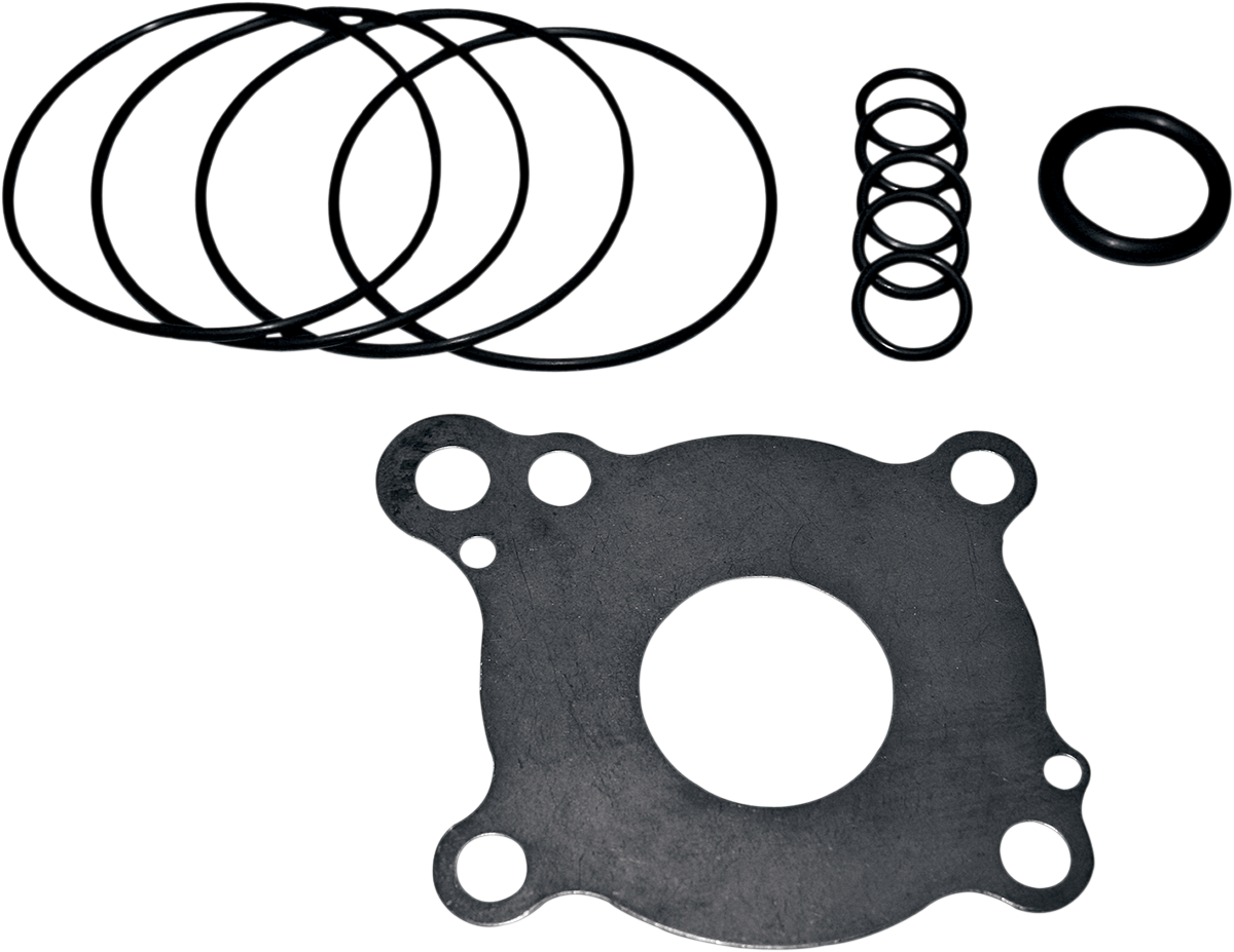 Oil Pump Rebuild Kit - Twin Cam