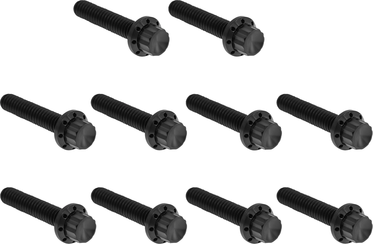 Bolt Kit - Cam Cover/Point Cover - Titanium - 12-Point - Black