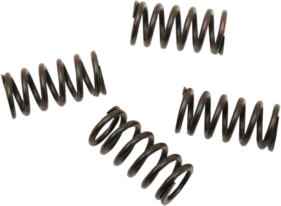 Clutch Spring Set - Honda