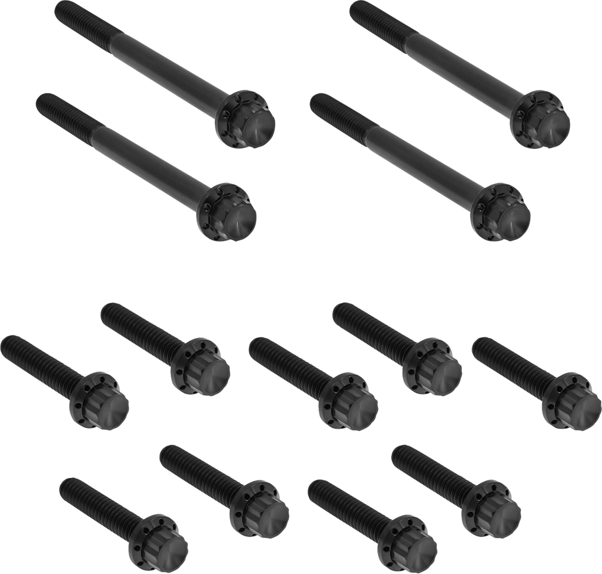 Bolt Kit - Primary Cover - Titanium - 12-Point - FLT - Black