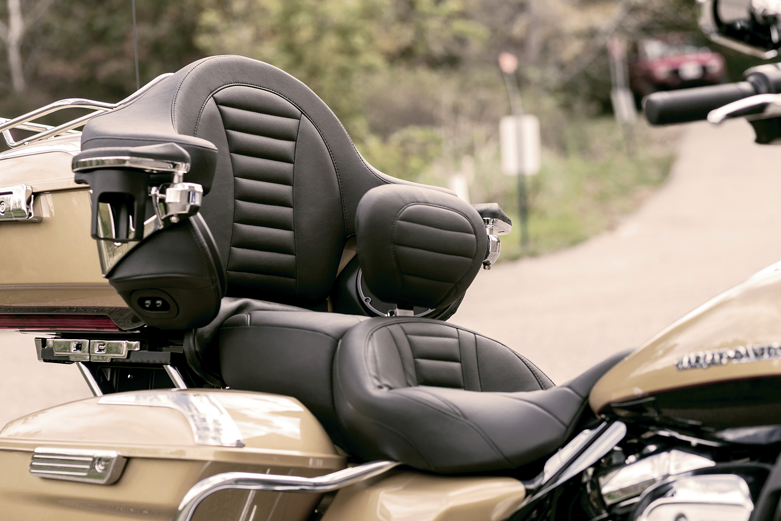 Removable Driver Backrest