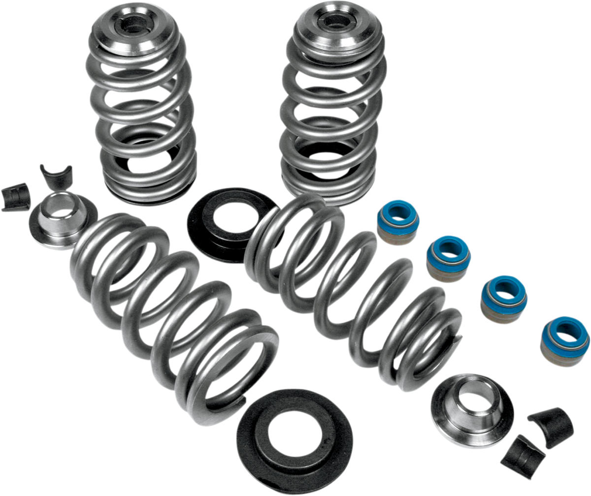 Valve Spring Kit - For 7.00 MM Valve Stem - 88"/96"/103" Twin Cam | XL | XR1200