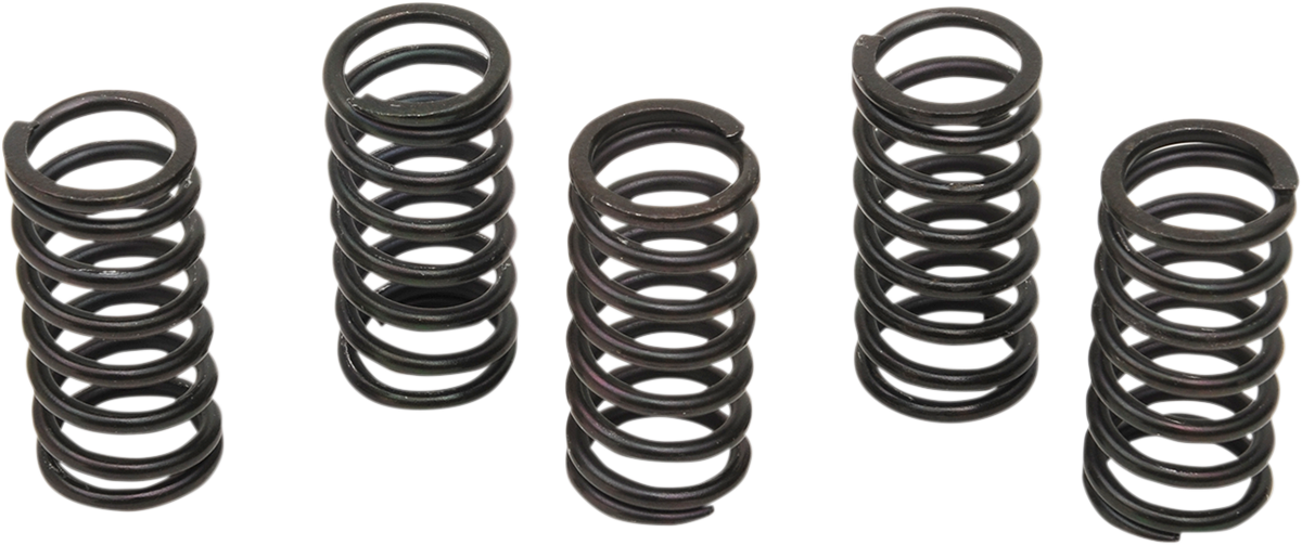 Clutch Spring Kit - Honda