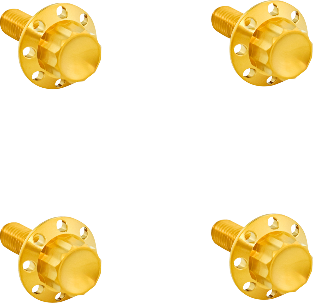 Titanium 12-Point Windshield Bolts