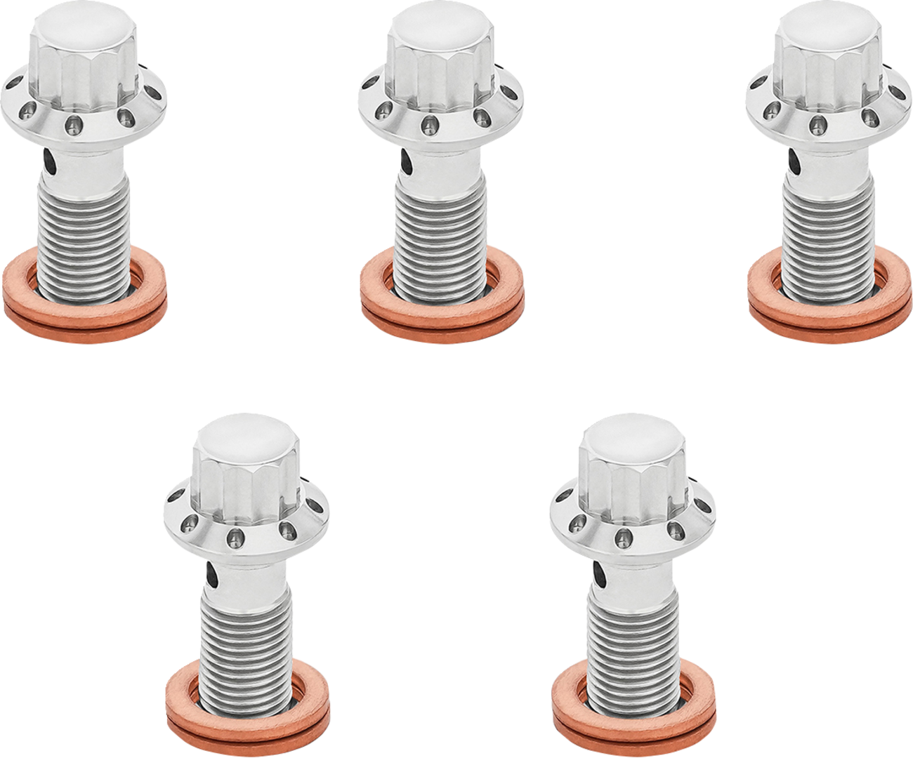 Banjo Bolt 5-Pack - M10x1.0 - Polished