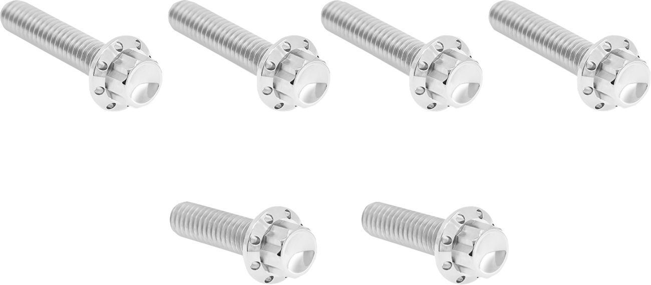 Transmission Side Cover Titanium 12-Point Bolt Kit