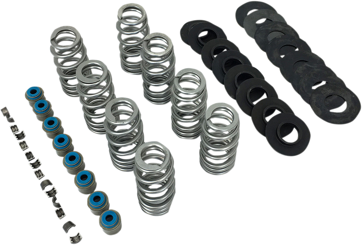 Valve Spring Kit - Without TI Retainers - M8