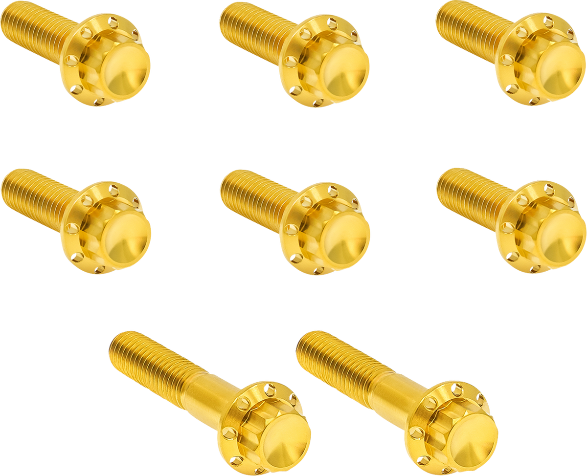 Transmission Trap Door Titanium 12-Point Bolt Kit — For 6-Speed Transmission