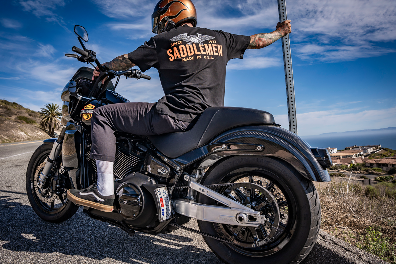 Rear Fender - Carbon Fiber/Gloss - FXBB/FXST/FLSL